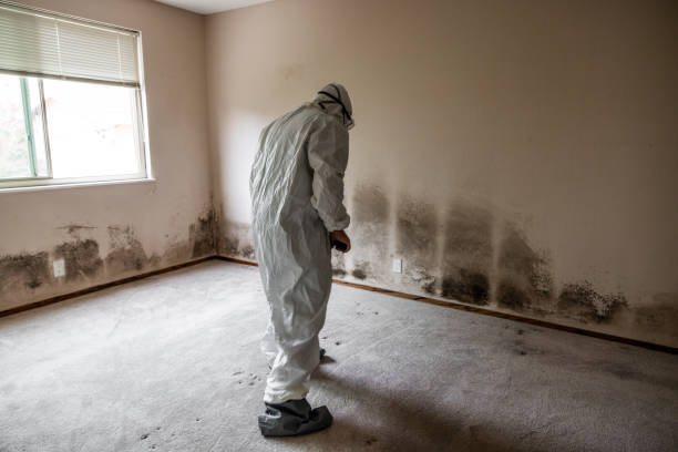 Best Crawl Space Mold Removal  in Rahway, NJ