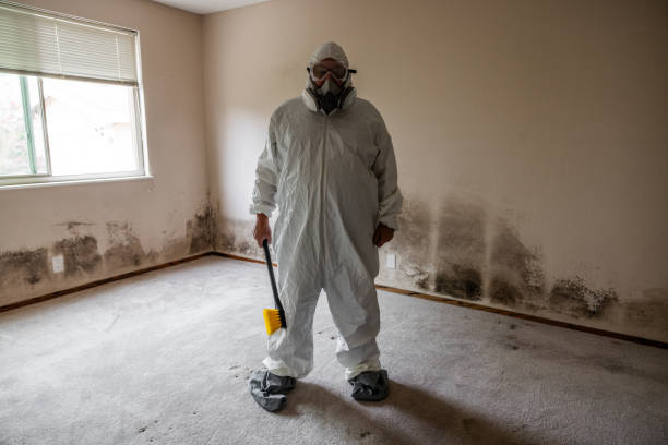 Best Local Mold Removal Service  in Rahway, NJ