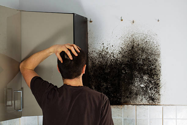 Best Residential Mold Removal  in Rahway, NJ