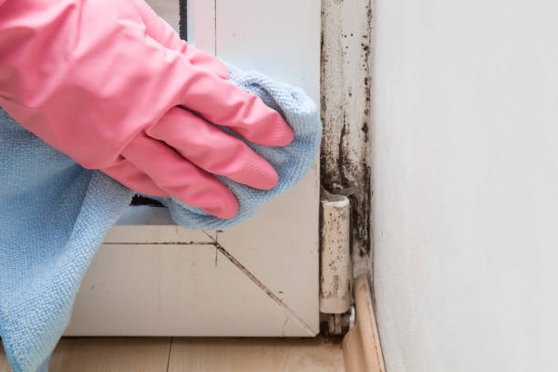 Water Damage Restoration in Rahway, NJ